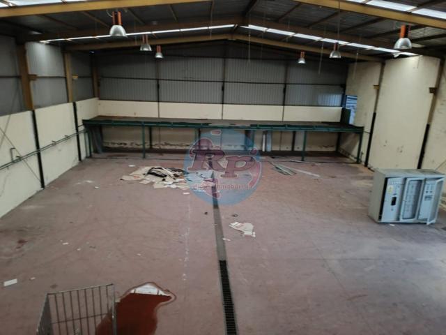 Nave amplia con do muelles photo 0