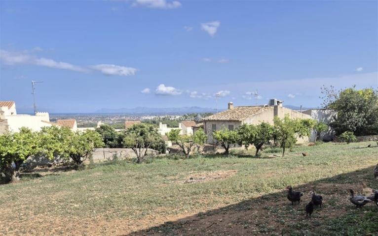 Terreno en CAMPANET photo 0