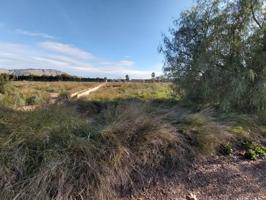 Terreno de dos hectáreas en Alhama de Murcia photo 0
