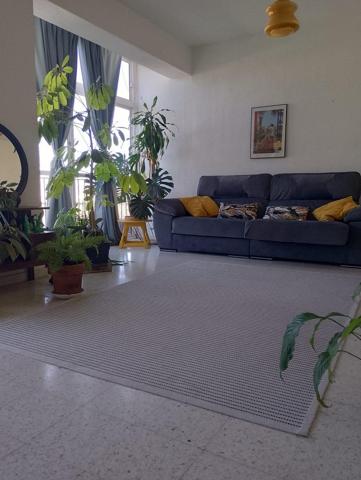 Piso en zona zoo, Jerez photo 0