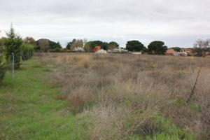 VENTA de TERRENO en Tudela de Duero photo 0