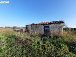 SE VENDE TERRENO RUSTICO EN TUDELA DE DUERO photo 0