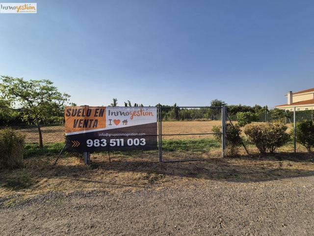 SOLAR EN VENTA EN TUDELA DE DUERO photo 0