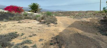 Finca Urbana y Rustica en El Desierto. Granadilla de Abona. Tenerife photo 0