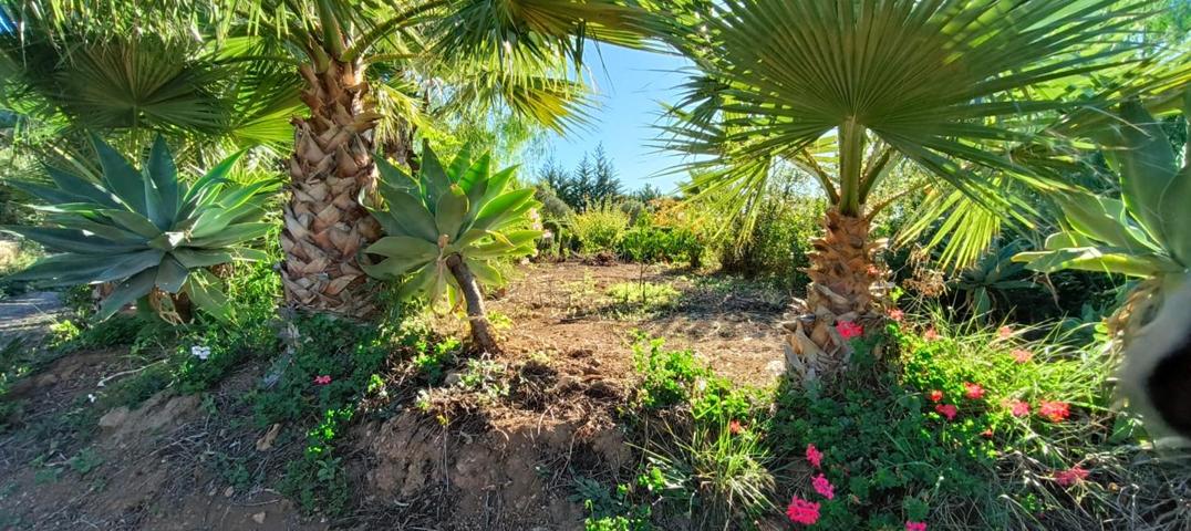 Finca Con Casa Cueva, Mobil Home, Huertas y Preciosos Jardines en Ifonche, Vilaflor de Chasna. Tenerife. photo 0