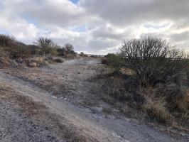 Parcela Rústica en subida de El Tablado a El Escononal. Güimar photo 0