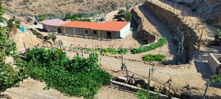 Vivienda sin terminar en Finca Rústica, en El Desierto. Granadilla de Abona photo 0