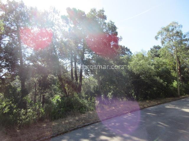 Terreno en venta en Lloret de Mar de 800 m2 photo 0