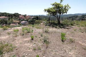 TERRENO CON VISTAS AL MAR EN LOS PINARES photo 0