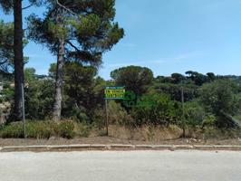 GRAN PARCELA EDIFICABLE CERCA DE LLORET photo 0
