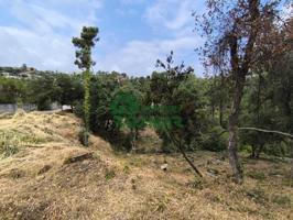 LOTE DE 10 PARCELAS EN LLORET BLAU, OPORTUNIDAD DE INVERSIÓN photo 0