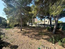 Parcela urbanizable en Campoamor photo 0