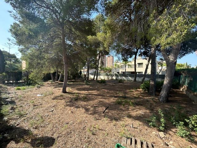 Parcela urbanizable en Campoamor photo 0