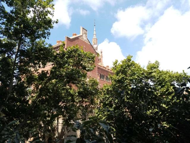 ENFRENTE DEL RECINTO MODERNISTA DE SANT PAU photo 0