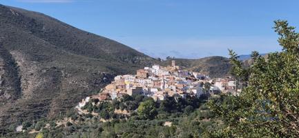 Un trocito de paraíso. photo 0