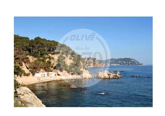 PARCELAS EN VENTA – URBANIZACIÓN MAS BORRELL (MONT-RÀS, COSTA BRAVA) photo 0