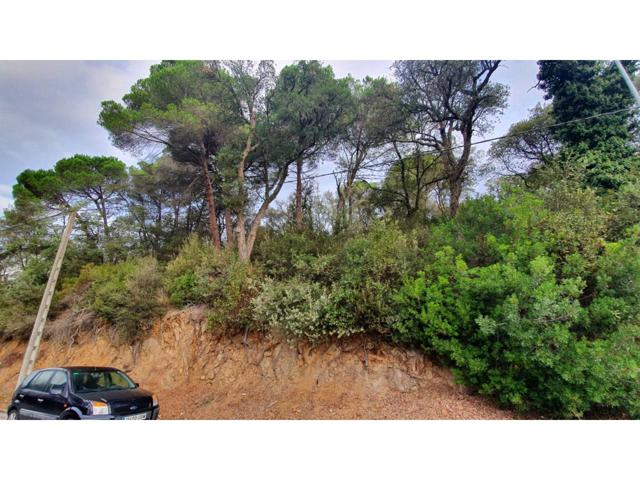 Terreno en venta en Vallgorguina photo 0