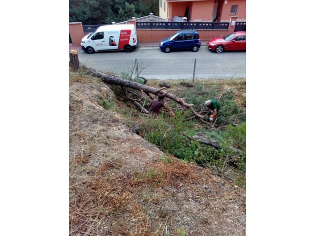 Terreno en venta en Maçanet de La Selva photo 0