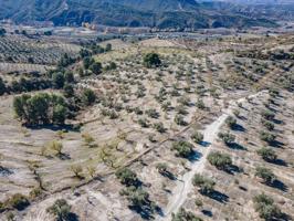 FINCA EN VENTA EN JAYENA photo 0