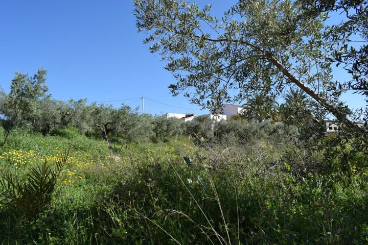 Terreno en venta en Los Gallardos de 1333 m2 photo 0