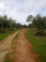 Finca rústica en Cáceres photo 0