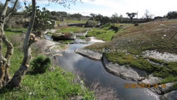 Se vende Parcela en Arroyo de la Luz photo 0
