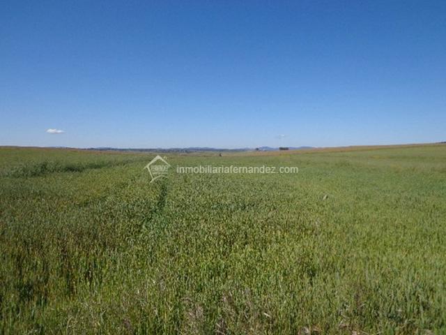 Terreno Urbanizable En venta en Sierra De Fuentes, Sierra De Fuentes photo 0