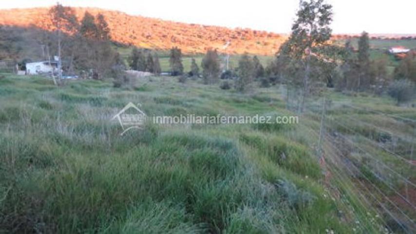 OPORTUNIDAD!! Parcela de 2500m2 totalmente vallada en ARROPEZ a 5 minutos CACERES. photo 0