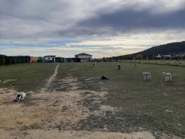 EL COLLADO, SIERRA DE FUENTES photo 0