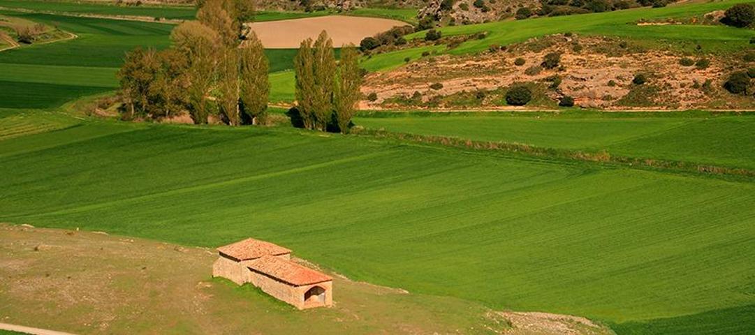 Se vende parcela en la Montaña con Casa semireformada photo 0