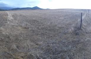 Parcela de 6100 m2 al lado del cordel en Sierra de Fuentes photo 0