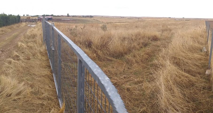Parcela de 21200 m2 en Sierra de Fuentes photo 0