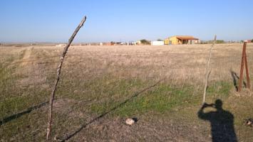 Parcela en Cordel de Merinas en oferta(Sierra de Fuentes) photo 0