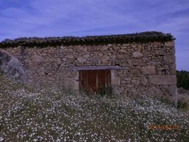 Casa de campo con parcela 5000 m2 en Barrado (Jerte) photo 0