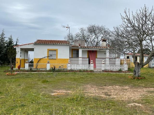 Casa de campo con 4500 metros de parcela en Arroyo de la Luz photo 0