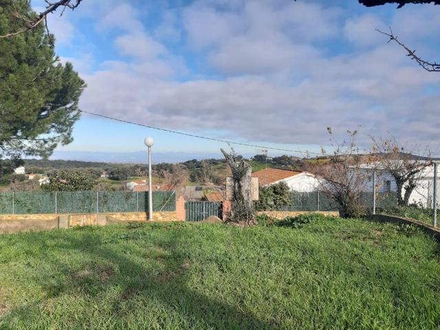 TERRENO URBANO EN CAÑAVERAL photo 0