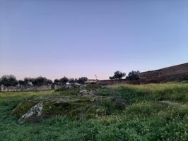 Solar, terreno para construir, en el Casar de Cáceres photo 0