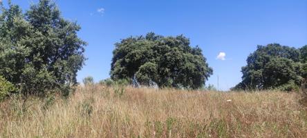 ¡Terreno de 2800 m2 en zona ermita! photo 0