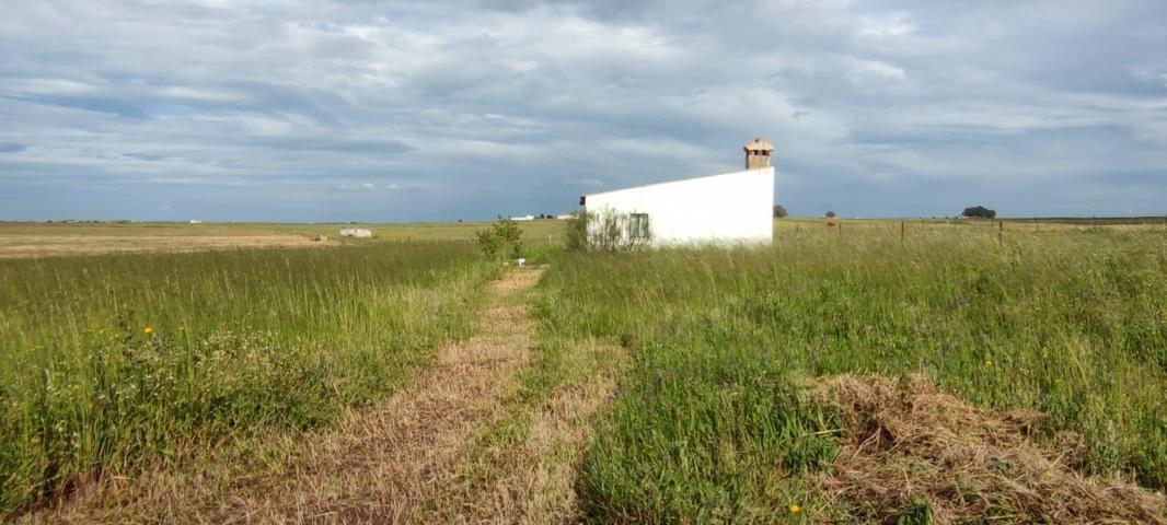 ¡Casa de 88m2 con 14000 m2 de terreno! photo 0