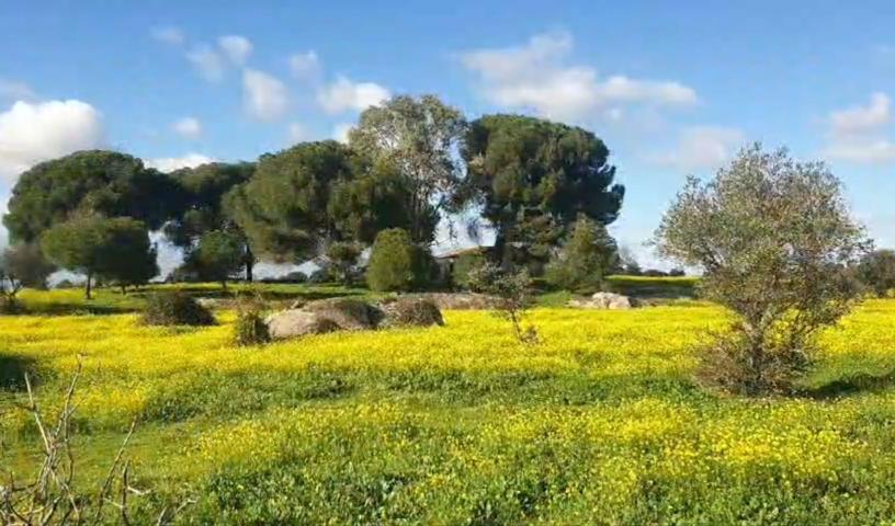 ¡¡Espectacular finca rústica de 110.000 m2 con casa!! photo 0