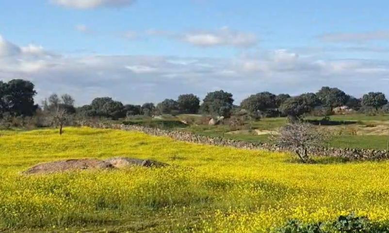 ¡¡Finca rústica de 250.000 m2!! photo 0