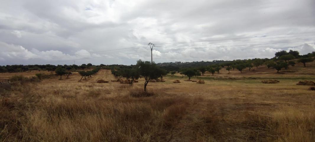 Finca rústica de 61900 m2 photo 0