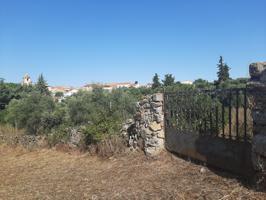 Parcela muy próxima al pueblo de Casas de Don Antonio photo 0
