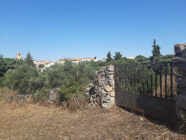 Parcela muy próxima al pueblo de Casas de Don Antonio photo 0