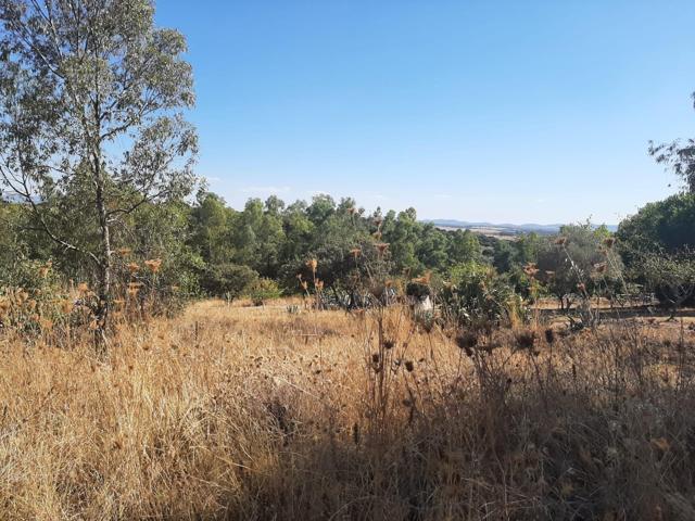 Parcela en el Pradillo photo 0