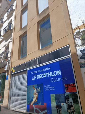 GRAN LOCAL COMERCIAL EN CALLE PINTORES photo 0