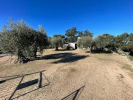 TERRENO RUSTICO CON CONSTRUCCIÓN 25M EN MONTÁNCHEZ photo 0