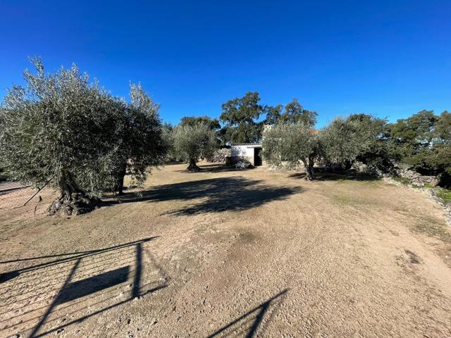 TERRENO RUSTICO CON CONSTRUCCIÓN 25M EN MONTÁNCHEZ photo 0