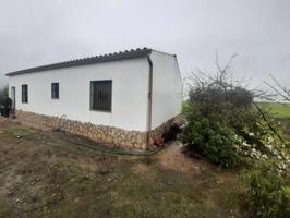 Buena casa de campo en con 5 hectáreas de terreno en Torreorgaz photo 0