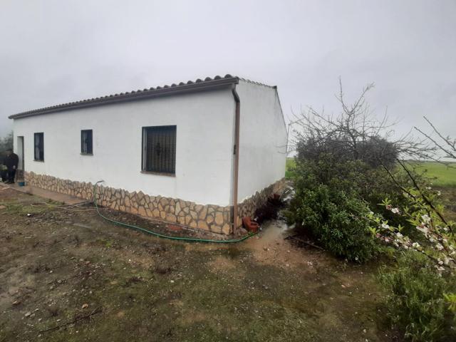 Buena casa de campo en con 5 hectáreas de terreno en Torreorgaz photo 0